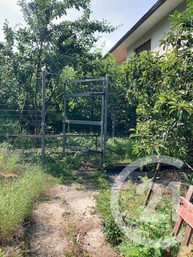 maison - LE BAN ST MARTIN - 57